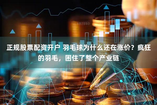 正规股票配资开户 羽毛球为什么还在涨价？疯狂的羽毛，困住了整个产业链
