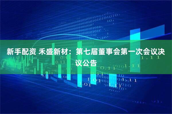 新手配资 禾盛新材：第七届董事会第一次会议决议公告